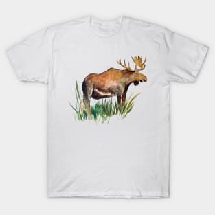 Bull Moose Watercolor Sketch T-Shirt